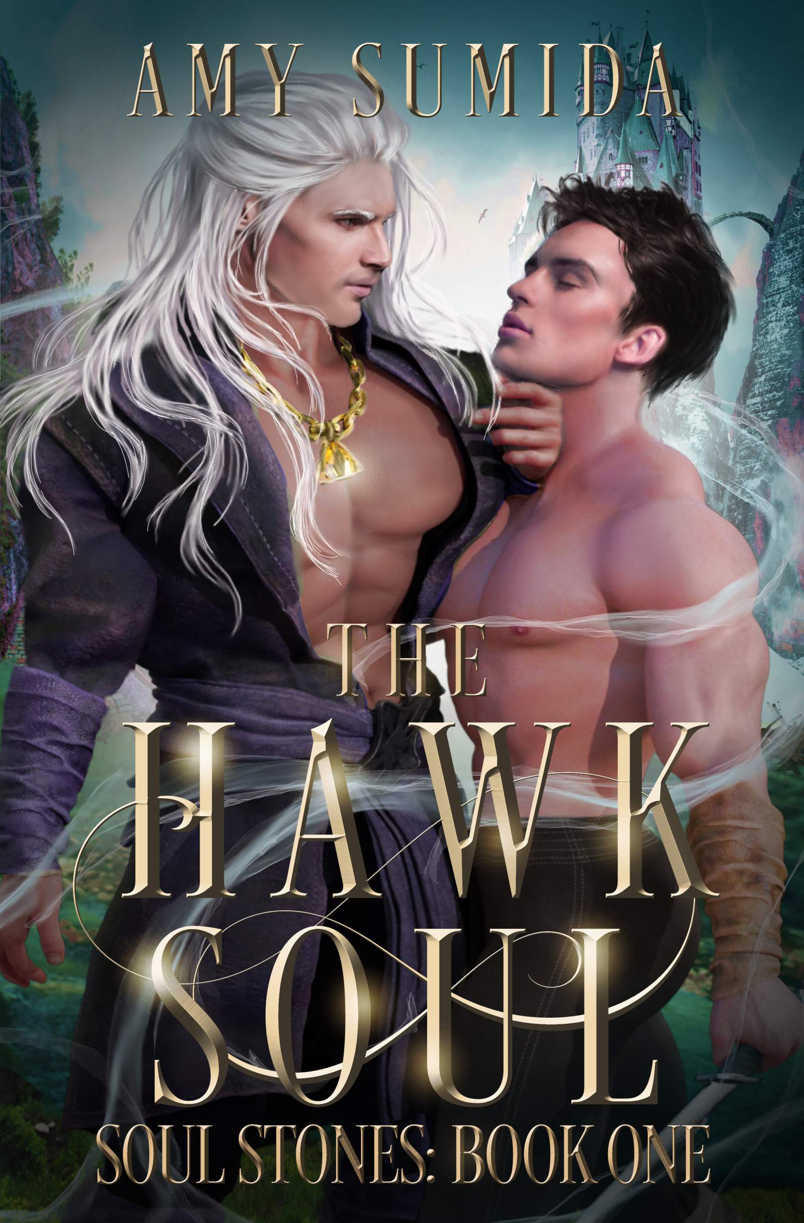 The Hawk Soul book cover - Soul Stones Book 1